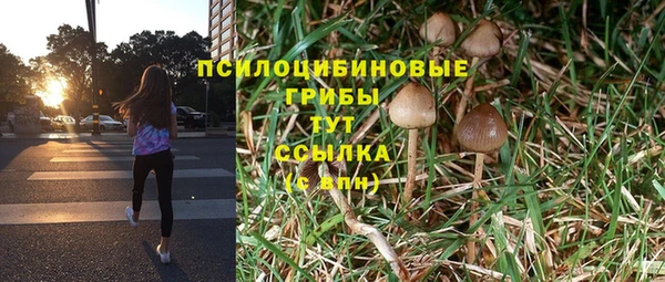бошки Абдулино