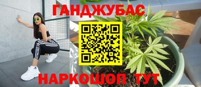 индика Гусиноозёрск
