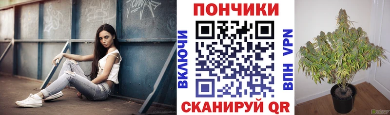 что такое наркотик Якутск Каннабис ГИДРОПОН